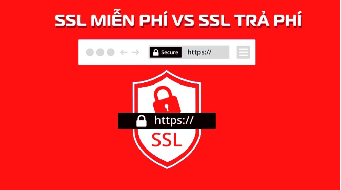 Free vs. paid SSL - which is the smarter choice?